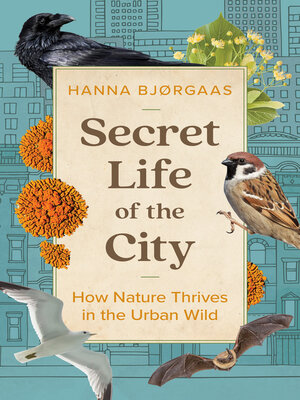 cover image of Secret Life of the City